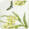Amazonia Salladstallrik, 23x23 cm