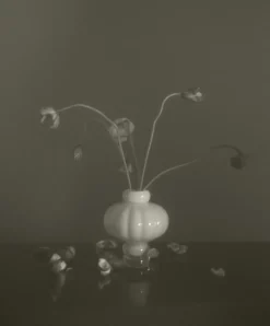 Balloon 08 Vase 30 cm, Clear
