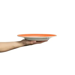 Basic Plate 25 cm, Grey