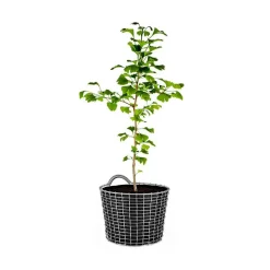 Bin 16 Basket, Galvanized