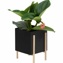 Botanic Pot