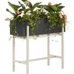 Botanic Stand