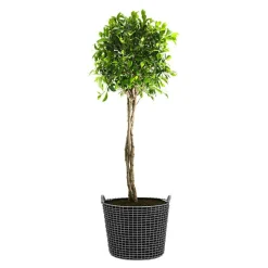 Classic 65 Basket, Acid-Proof Stainless Steel