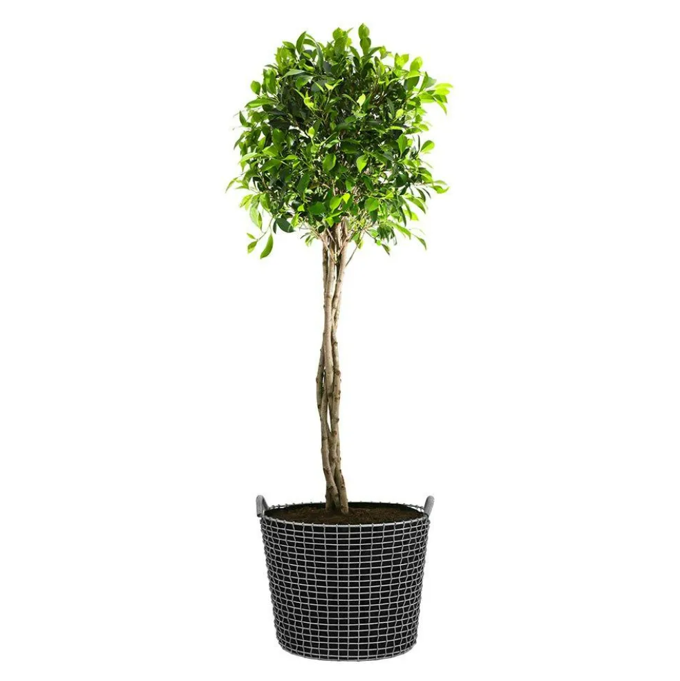 Classic 65 Basket, Acid-Proof Stainless Steel