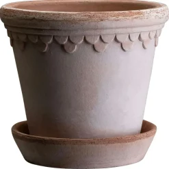 Copenhagen Pot Rose, 12 cm