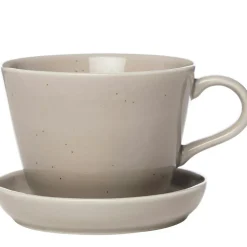 Cup And Saucer