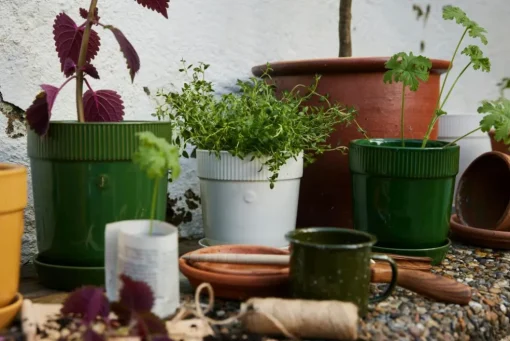 Elise Pot 19 cm, Green
