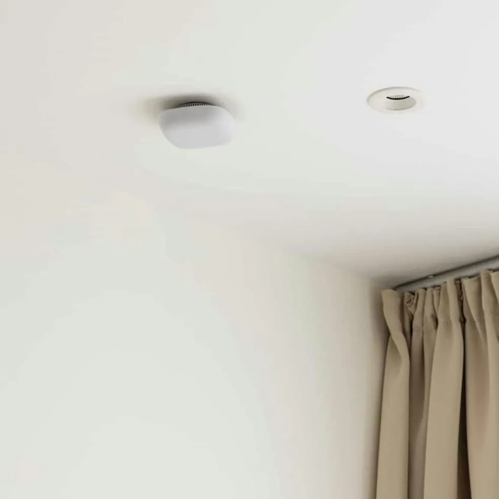 Fire Alarm, Silver