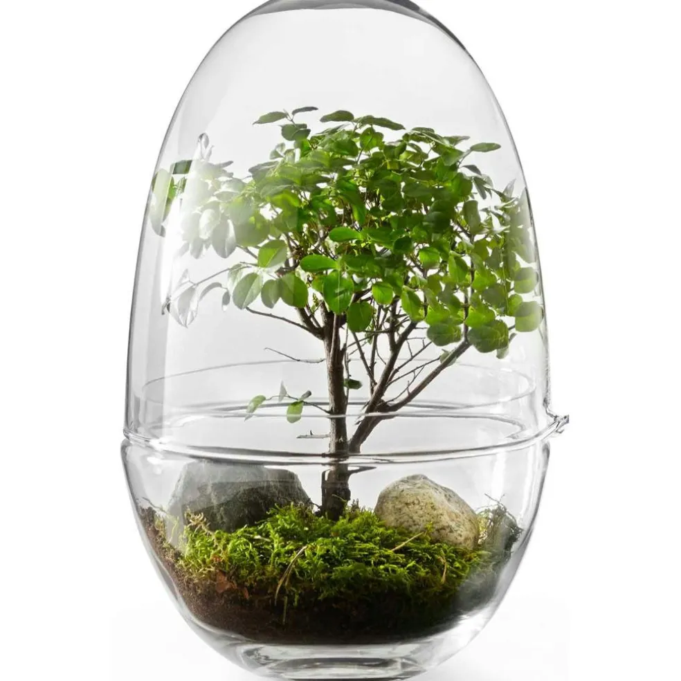 Grow Greenhouse XL, Clear