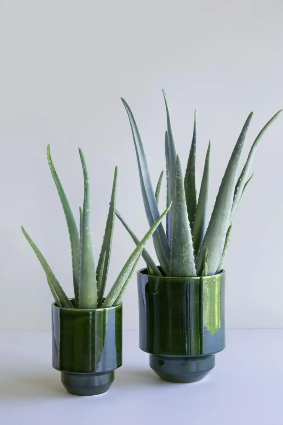 Hoff Pot Without Drainage Holes 14 cm, Emerald Green