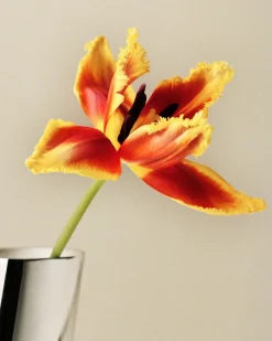 Lituus Floor Vase H50.9 cm