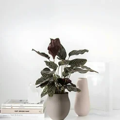 Manufacture Collier Vase Grey, 16,5x18 cm