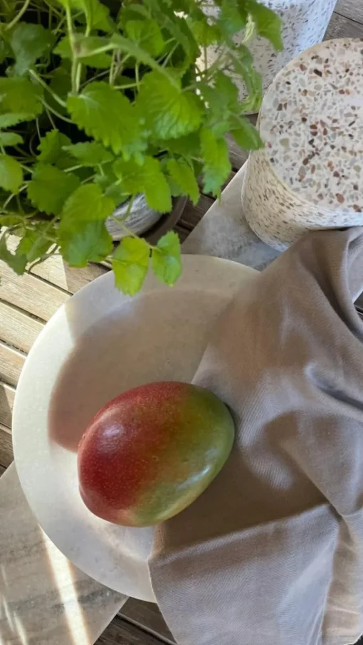 Marble Bowl Ø25 cm