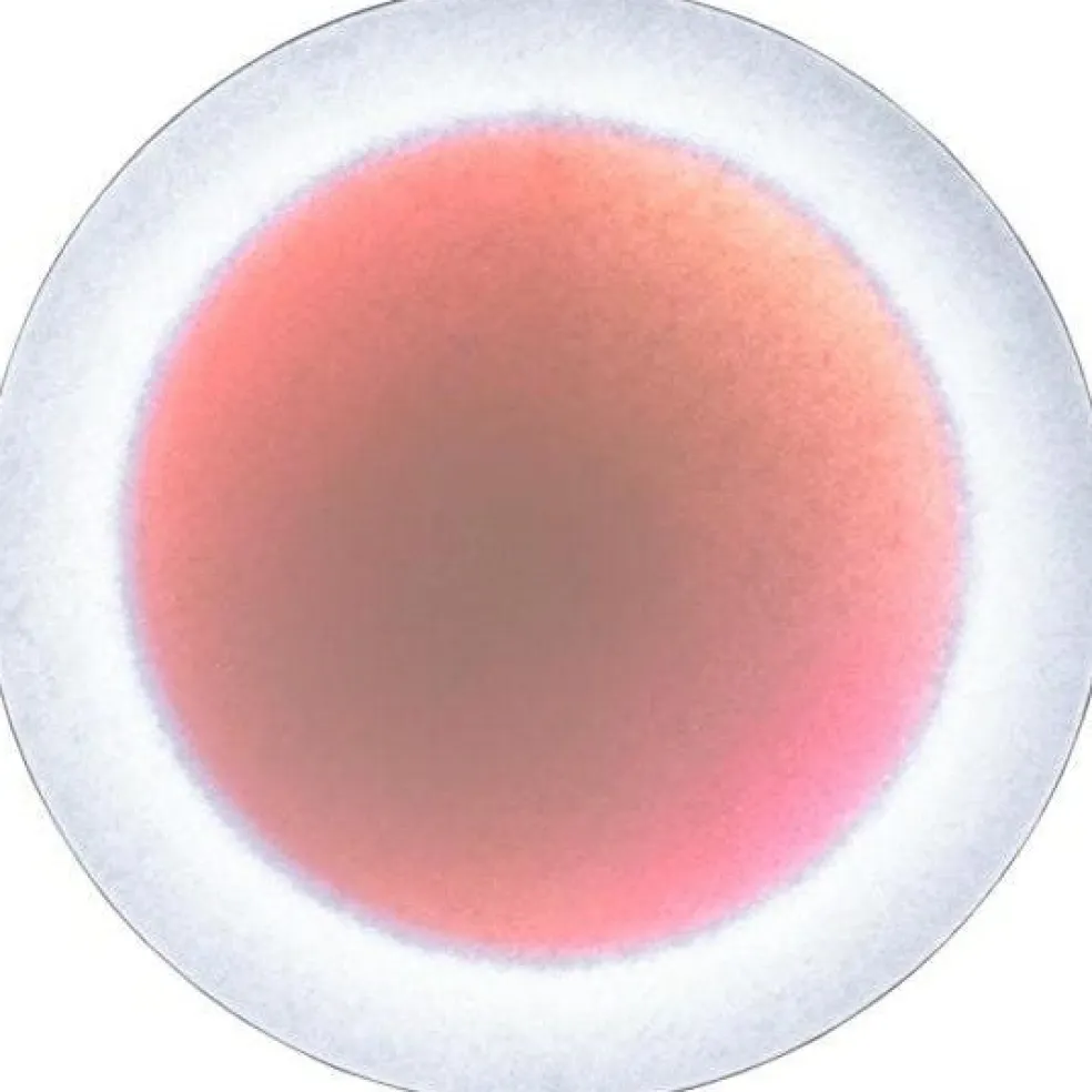 MoodMoon Wall/Ceiling Lamp 85 cm, Red