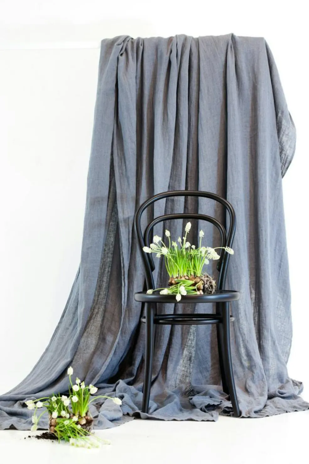 No 14 Chair, Coffee