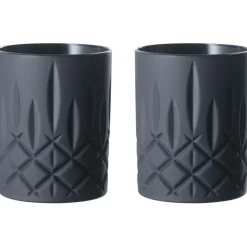 Noblesse Whiskey Glass 29,5 cl 2-pack, Black