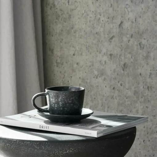 Pion Cup With Saucer 23 cl, Grey/White