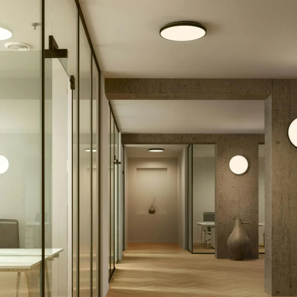 Plafon 20 Wall/Ceiling Lamp, Black / Brass