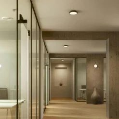 Plafon 20 Wall/Ceiling Lamp, Black / Brass