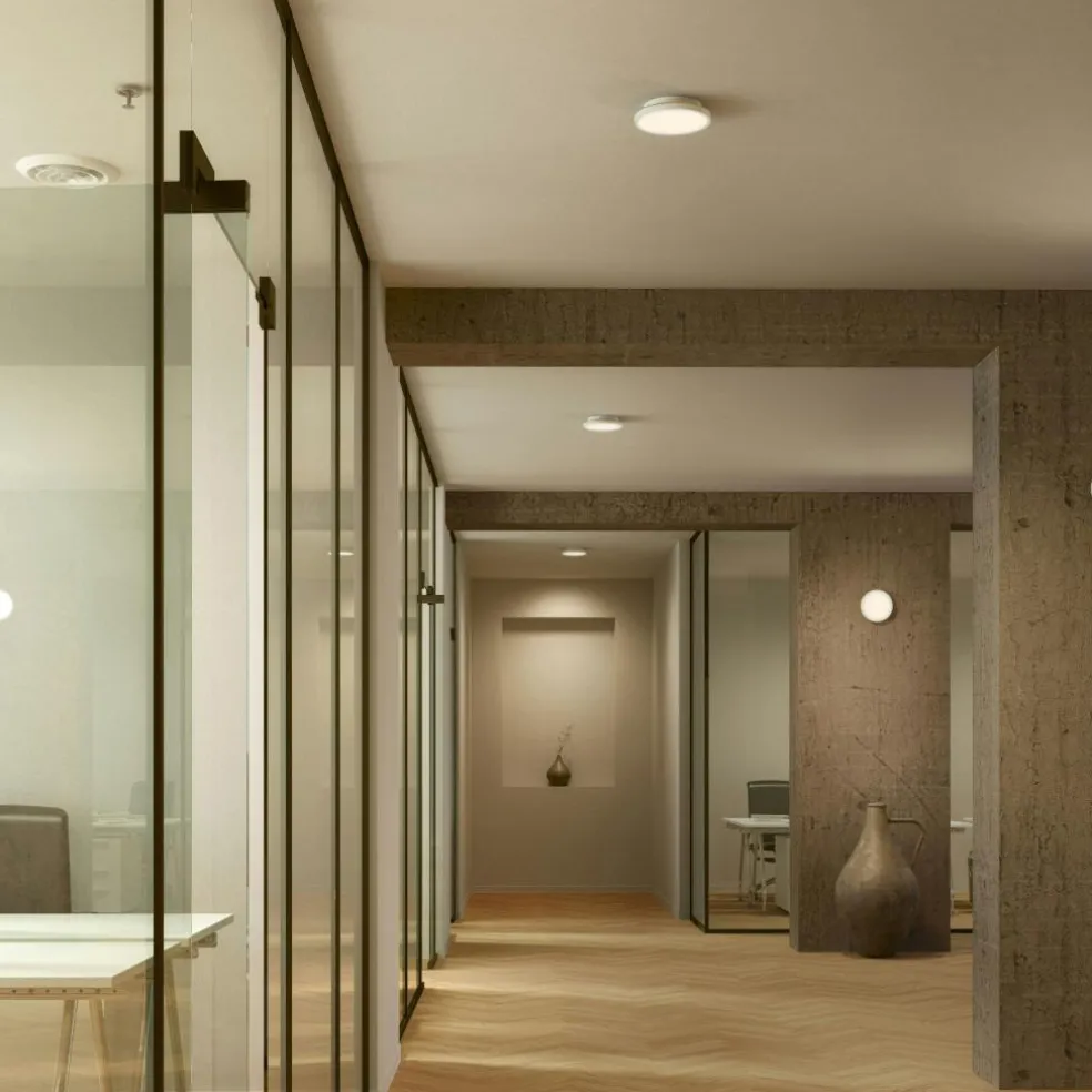 Plafon 20 Wall/Ceiling Lamp, Black / Brass