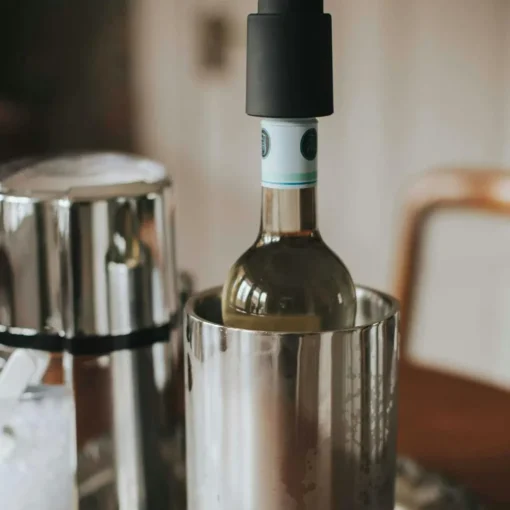 Pump It Wine Stopper, Black