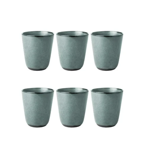 Raw Double Wall Mugs 25 cl 6-pack, Northern Green