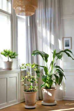 Rolling Stones Plant Trolley Ø35 cm, White