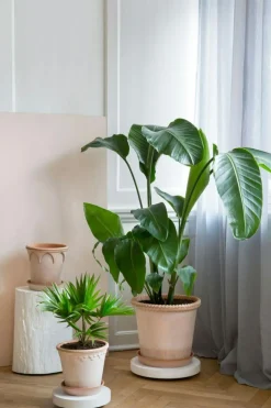 Rolling Stones Plant Trolley Ø35 cm, White