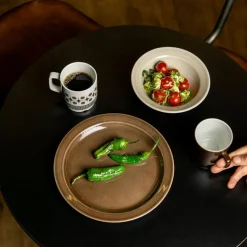 Sabor By Figgjo Mug 22 cl, Brown