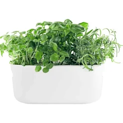 Self-Watering Herb Organiser, White