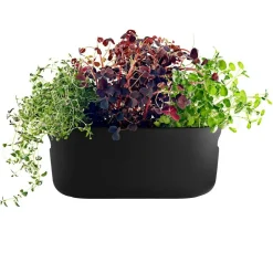 Self-Watering Herb Organiser, White