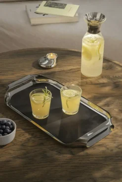 Serving Tray 25x43 cm, Polished Steel