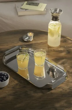 Serving Tray 25x43 cm, Polished Steel