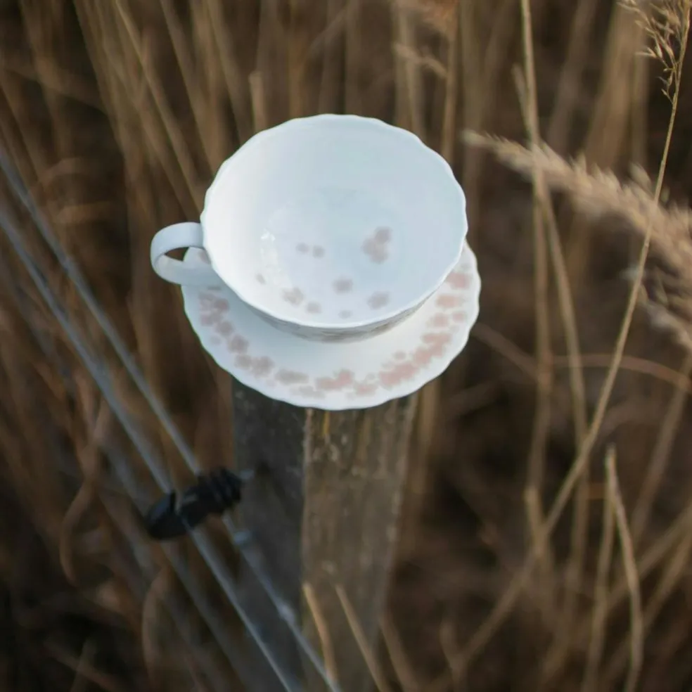 Slåpeblom Teacup 30 cl With Saucer, Pink