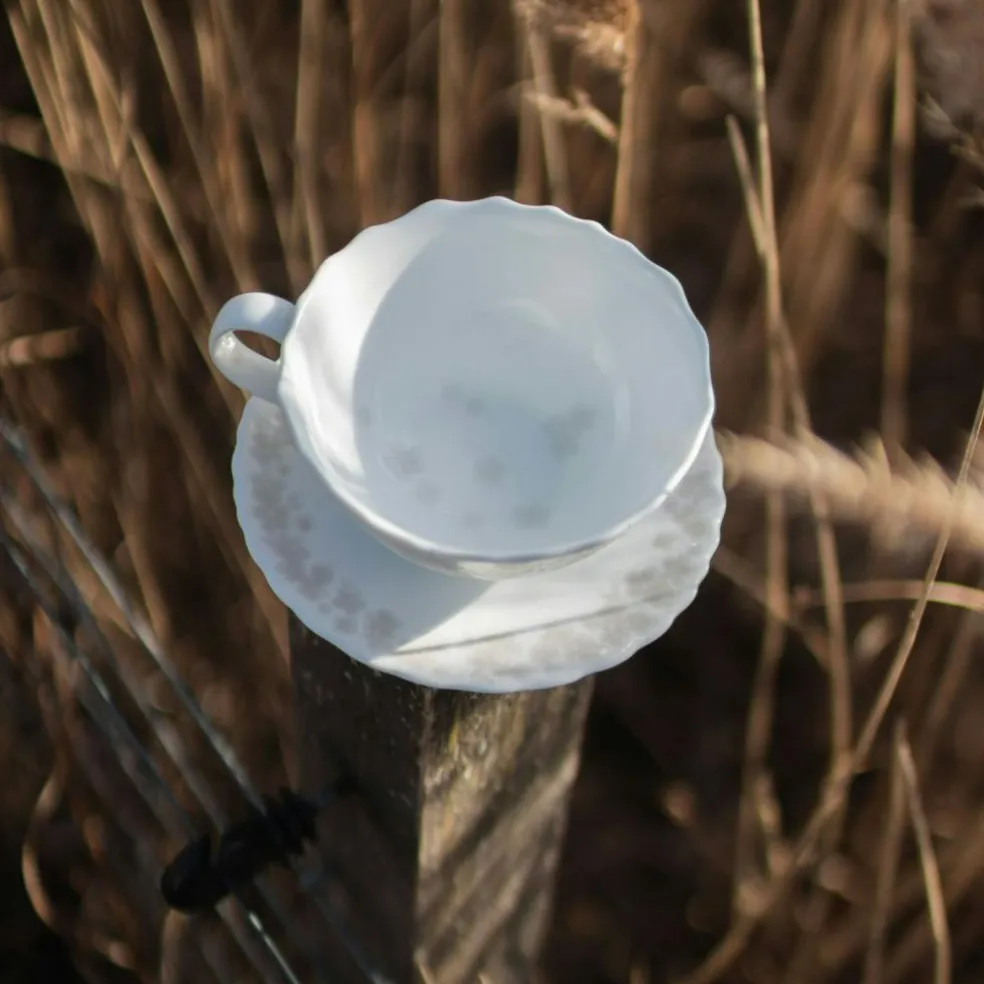 Slåpeblom Teacup 30 cl With Saucer, Pink