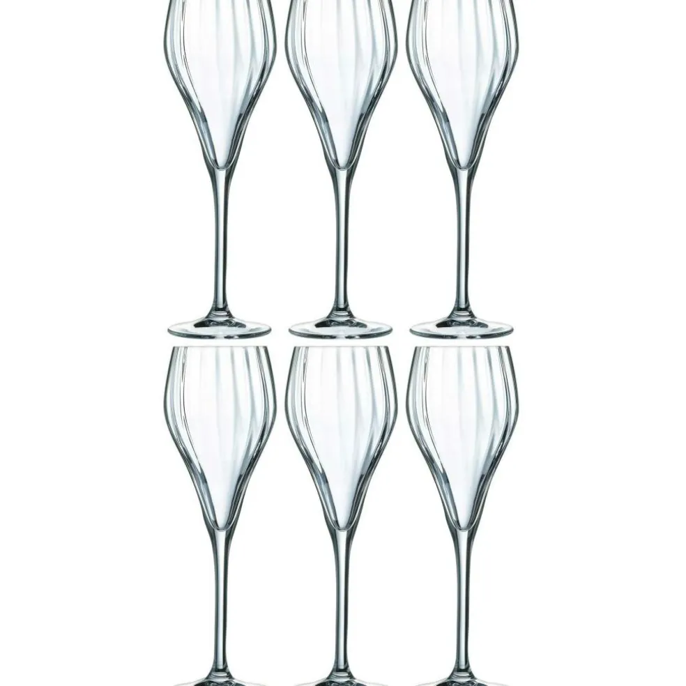 Symétrie Champagne Glass 16 cl Transparent, 6-pack