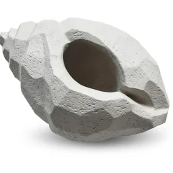 The Pear Shell Sculpture, Charcoal