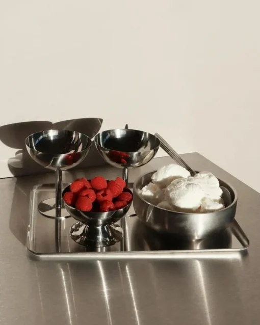 Tray Stainless Steel 10x22 cm, Small