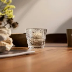 Tundra Glass 29 cl 2-pack, Clear
