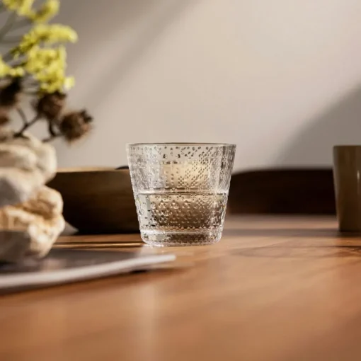 Tundra Glass 29 cl 2-pack, Clear