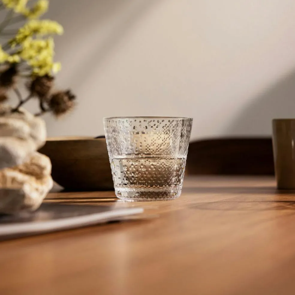 Tundra Glass 29 cl 2-pack, Clear