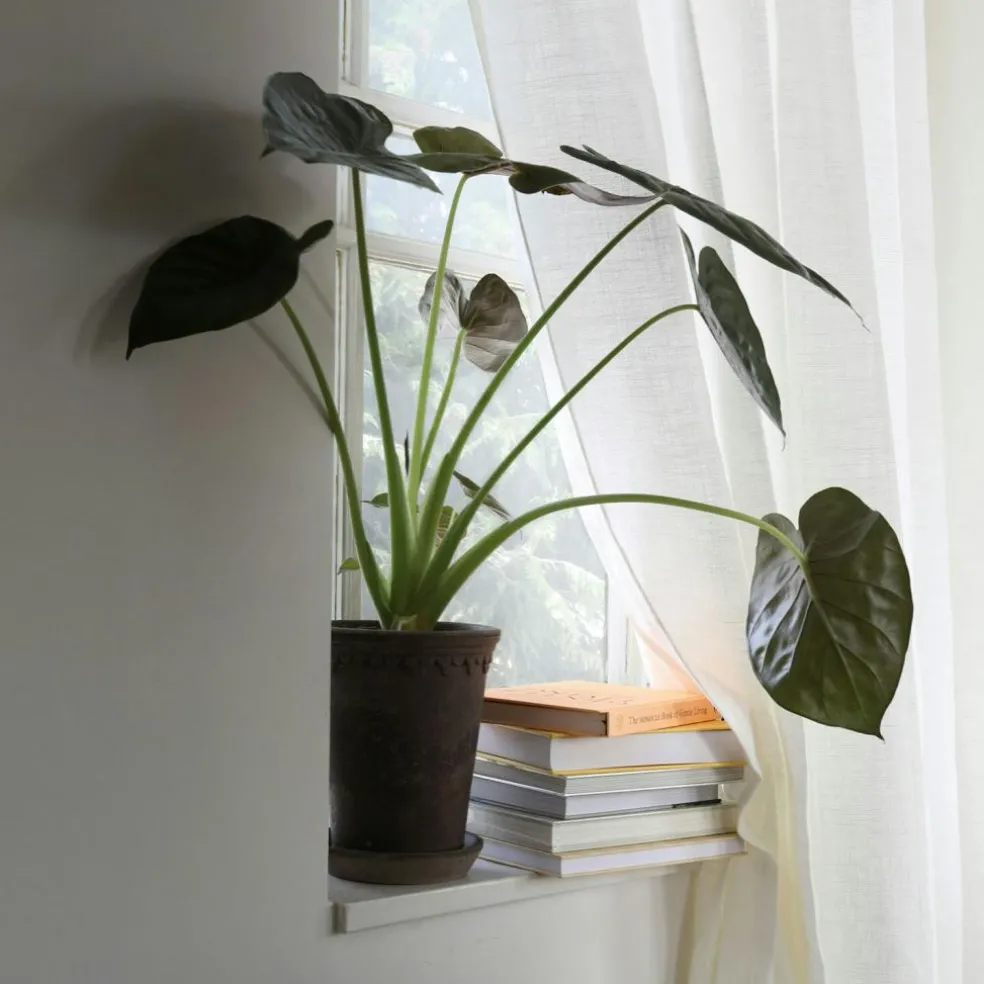 Alice Curtain Double Width 290x290 cm, Nature