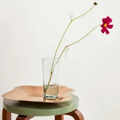 Alvar Aalto Vase 18 cm, Clear 1937