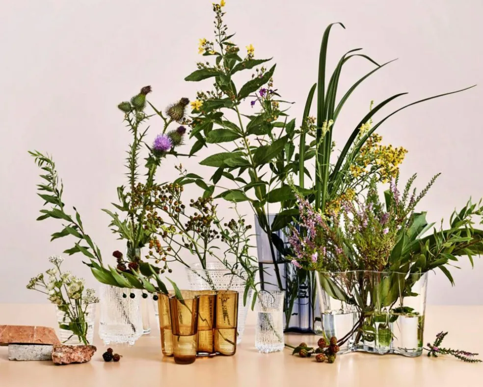 Alvar Aalto Vase Gift Set Clear