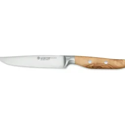Amici Steak Knife 12 cm