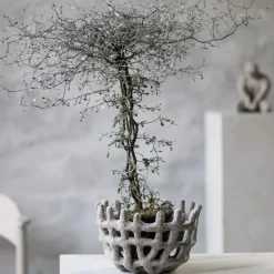 Art Piece Bowl, Sand