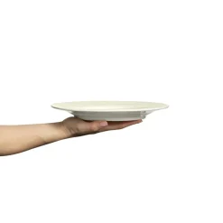 Basic Plate 25 cm, Grey