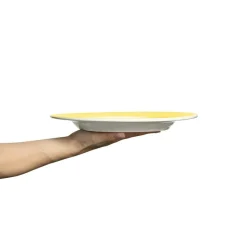 Basic Plate 28 cm, Plum