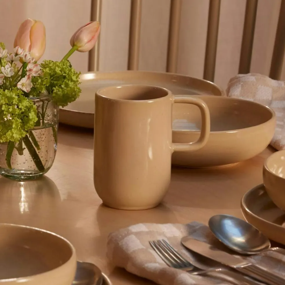 BON Starter Set 16-pack, Steam