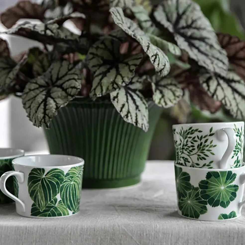 Botanica Daggkåpa Cup, Green